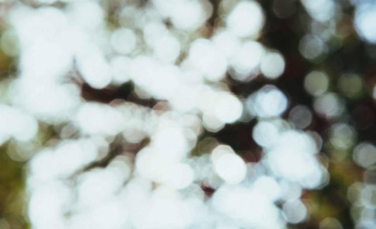 Side by Side Panel (Image Right)