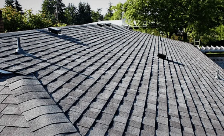 Large grey shingle roof with roof vents on a sunny day