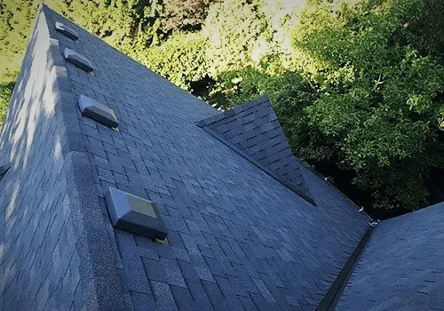 Steep grey shingle roof with box vents, beside trees