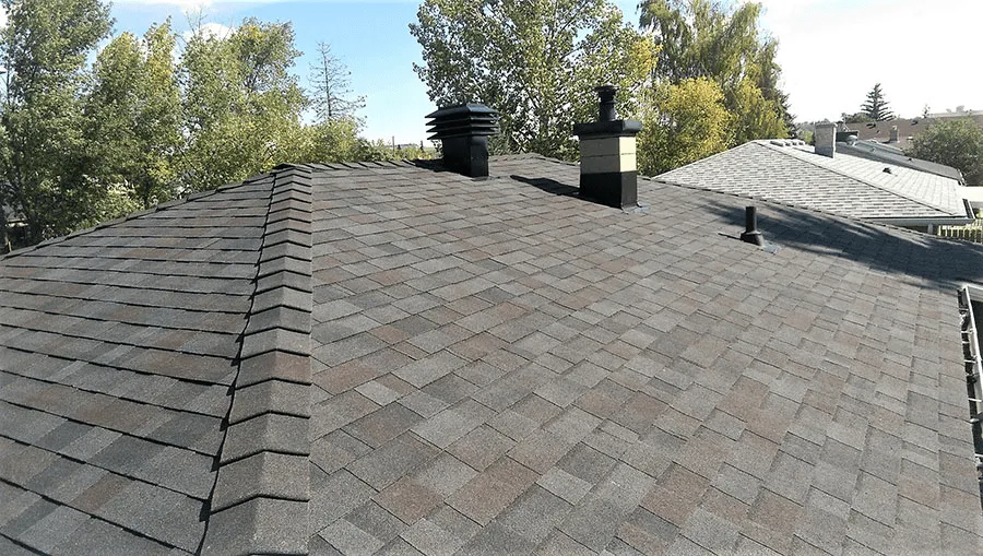 Grey shingle roof with ridge cap and two chimney caps