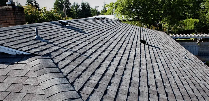 Dark shingle roof with vents, surrounded by trees