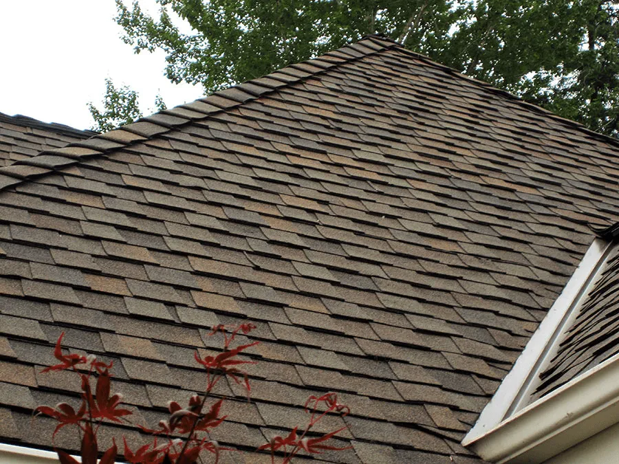 Brown shingle roof with white gable trim