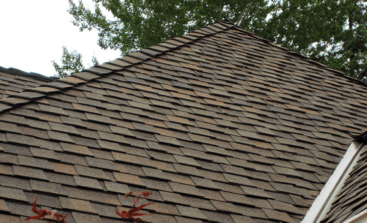 asphalt roofer asphalt roofer